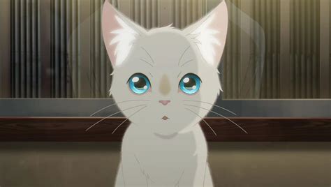 gato blanco anime|peliculas de gatos anime.